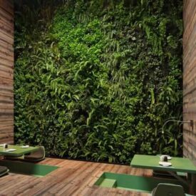 Vertical Garden Examples