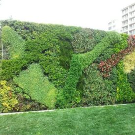 Vertical Garden Examples