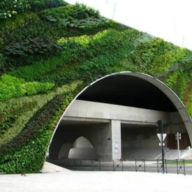 Vertical Garden Examples
