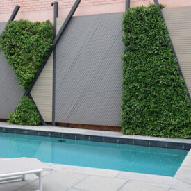 Vertical Garden Examples
