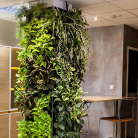 Vertical Garden Examples